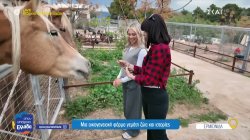 Μια οικογενειακή φάρμα γεμάτη ζώα και ιστορίες