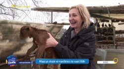 Φάρμα με ιστορία και παραδόσεις στο χωριό Βαθή