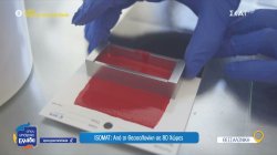 ISOMAT: Καινοτομία και εξωστρέφεια από τη Βόρεια Ελλάδα