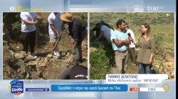 Ξερολιθιά: Η πέτρα που κρατά ζωντανή την Τήνο 