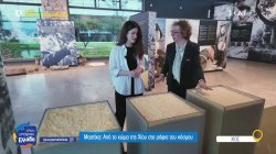 Ο χρυσός της Χίου: Η μαστίχα ταξιδεύει σε 55 χώρες 