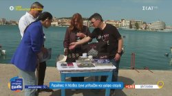 Papalines: Η Λέσβος έγινε μπλουζάκι και γράφει ιστορία 