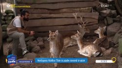 Από τη Ρόδο στη Λέσβο: Το παιδικό όνειρο που έγινε φάρμα 