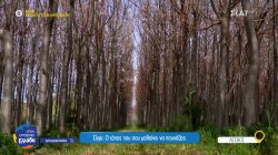 Σίγρι: Ο τόπος που σου μαθαίνει να ησυχάζεις