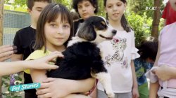 Το σχολείο που υιοθέτησε δύο αδέσποτα σκυλάκια