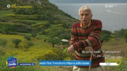 Παναγιώτης Τέτσης: Το νησί της Ύδρας μέσα από το βλέμμα του μεγάλου ζωγράφου 