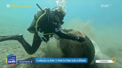 Οι καθαριστές του βυθού: Το Greek Eco Project σώζει τις θάλασσες