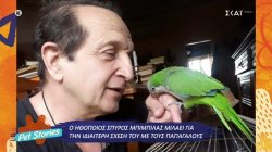 Ο ηθοποιός Σπύρος Μπιμπίλας μιλά για την ιδιαίτερη σχέση του με τα ζώα και κυρίως τους παπαγάλους 