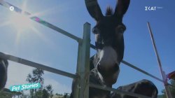 Βρισκόμαστε στη 