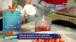 Πως να φτιάξετε το πιο νόστιμο παγωτό φράουλα για το σκυλάκι σας