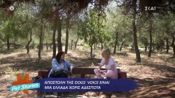 Αποστολή της Dog's Voice είναι μια Ελλάδα χωρίς αδέσποτα 