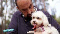 Ο Γρηγόρης Μελάς και η αγαπημένη του σκυλίτσα Κίρα στην παρέα μας