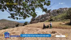 Δρεπάνι, αλώνι και ζώα: Αγροτική ζωή όπως παλιά