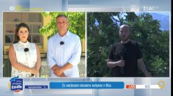 Σε κατάσταση έκτακτης ανάγκης η Χίο 