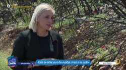 Όταν δύο νέοι άνθρωποι έχασαν τη ζωή τους παλεύοντας με τις φλόγες στο Ξυλόκαστρο – Οι εθελοντές της περιοχής