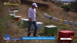 Κύθνος: Ο Φραγκίσκος Λαρεντζάκης μοιράζεται τη μαγεία των μελισσών 