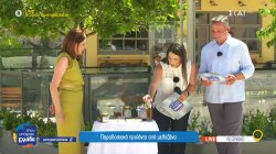 Παραδοσιακά προϊόντα από μελιτζάνα