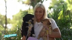 Η Ιωάννα Μαλέσκου για την απώλεια της αγαπημένης της σκυλίτσας Μπαλού