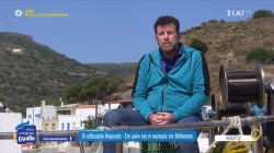 Οι τελευταίοι θηρευτές - Στη μάχη για τη σωτηρία της θάλασσας