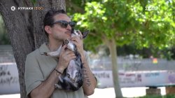 Pet Stories | Trailer | 27/07/2025