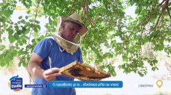 Ο πυροσβέστης με τα… γλυκόπικρα μέλια της Σαμοθράκης, που σπάει τα γευστικά στερεότυπα 