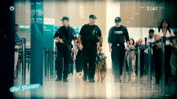 Γνωρίζουμε τους σκύλους της Ελληνικής αστυνομίας 