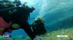 Scuba diving στα νερά της Σαμοθράκης με εκπαιδεύτρια μία Ρουμάνα που λάτρεψε το νησί 
