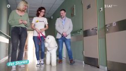 Γνωρίζουμε τον Βαγγέλη: Τον σκύλο θεραπείας που στέκεται δίπλα σε ασθενείς 
