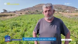 Ξηρασία και αδιαφορία: Η Νάξος μετρά τις πληγές της 