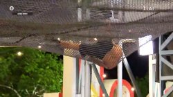 Φάνης vs Άρης - Έχασε πολύ χρόνο Άρης και είναι εκτός 