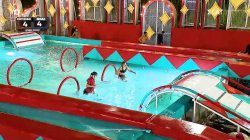 Στεφανία VS Σταυρούλα - Εντυπωσιακές βολές από την Σταυρούλα 