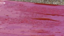 Υπό βροχή ξεκινά ο κρισιμότατος 3ος αγώνας ασφαλείας – Ντάνιελ VS Κέλι για τον πρώτο πόντο 