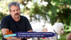 Π.Δαδακαρίδης:  «Ένας άνθρωπος που δεν σέβεται τα ζώα, δεν σέβεται ούτε τον εαυτό του» 