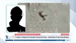 Πέλλα: Συνελήφθη 75χρονος επειδή κακοποίησε γατάκι μέχρι θανάτου 