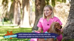 Πόσο σημαντικός είναι ο έλεγχος από κτηνίατρο ακόμη και όταν το ζώο φαίνεται απόλυτα υγιές 