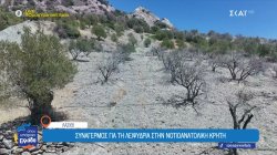 Συναγερμός για τη λειψυδρία στην Νοτιοανατολική Κρήτη – Οι αγρότες περιμένουν μία βροχή για να τους σώσει 