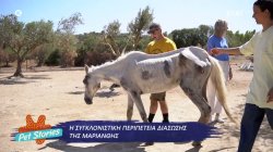 Η συγκλονιστική περιπέτεια της Μαριάνθης! Από ένα βήμα πριν τον θάνατο στο να ξαναστέκεται όρθια  