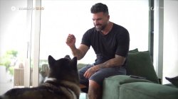 Pet Stories | Trailer | 04/10/2025