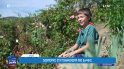 Οδοιπορικό στα Πομακοχώρια της Ξάνθης 