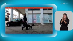 Οι σκύλοι οδηγοί που γίνονται «τα μάτια» των τυφλών – Η εκπαίδευση και το νομικό πλαίσιο 