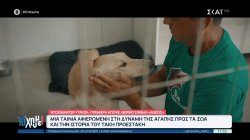 Ντοκιμαντέρ «Takis»:Μια ταινία αφιερωμένη στη δύναμη της αγάπης προς τα ζώα – Η ιστορία του Τ.Προεστάκη