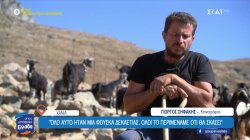 Χωρίς επιδοτήσεις οι κτηνοτρόφοι της Κρήτης λόγω σκανδάλου ΟΠΕΚΕΠΕ – «Την πληρώσουν κι όσοι δε φταίνε»