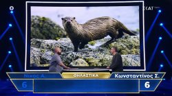 Στις λεπτομέρειες κρίνεται η μάχη εύρεσης των θηλαστικών, ανάμεσα σε Νίκο και Κωνσταντίνο 