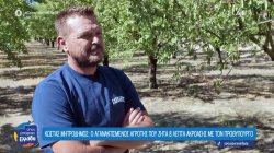 Κώστας Μητροδήμος: Ο αγανακτισμένος αγρότης που ζητά 8 λεπτά ακρόασης με τον Πρωθυπουργό