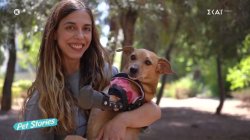 Άιβαρ: Ο σκύλος που έχασε τα δυο του πόδια μετά από κακοποίηση