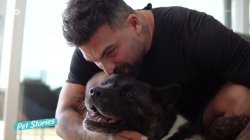 Ο Δημήτρης Αλεξάνδρου μιλάει για την 