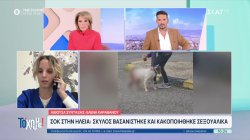 Σοκ στην Ηλεία: Σκύλος βασανίστηκε και κακοποιήθηκε σεξουαλικά 