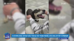 Η ιστορία ενός σκύλου από την Κω που υιοθετήθηκε από ένα ζευγάρι Γερμανών
