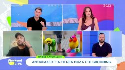 Βαφές κατοικίδιων: Αντιδράσεις για τη νέα μόδα στο grooming