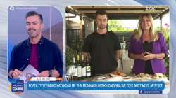  Βόλτα στο γραφικό Κατάκολο με την μοναδική φυσική ομορφιά και τους νόστιμους μεζέδες